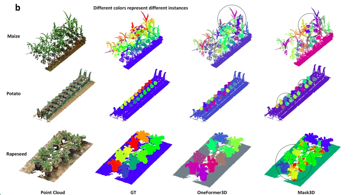 L’uso di nuvole di punti 3D, nuovi spunti in agricoltura 