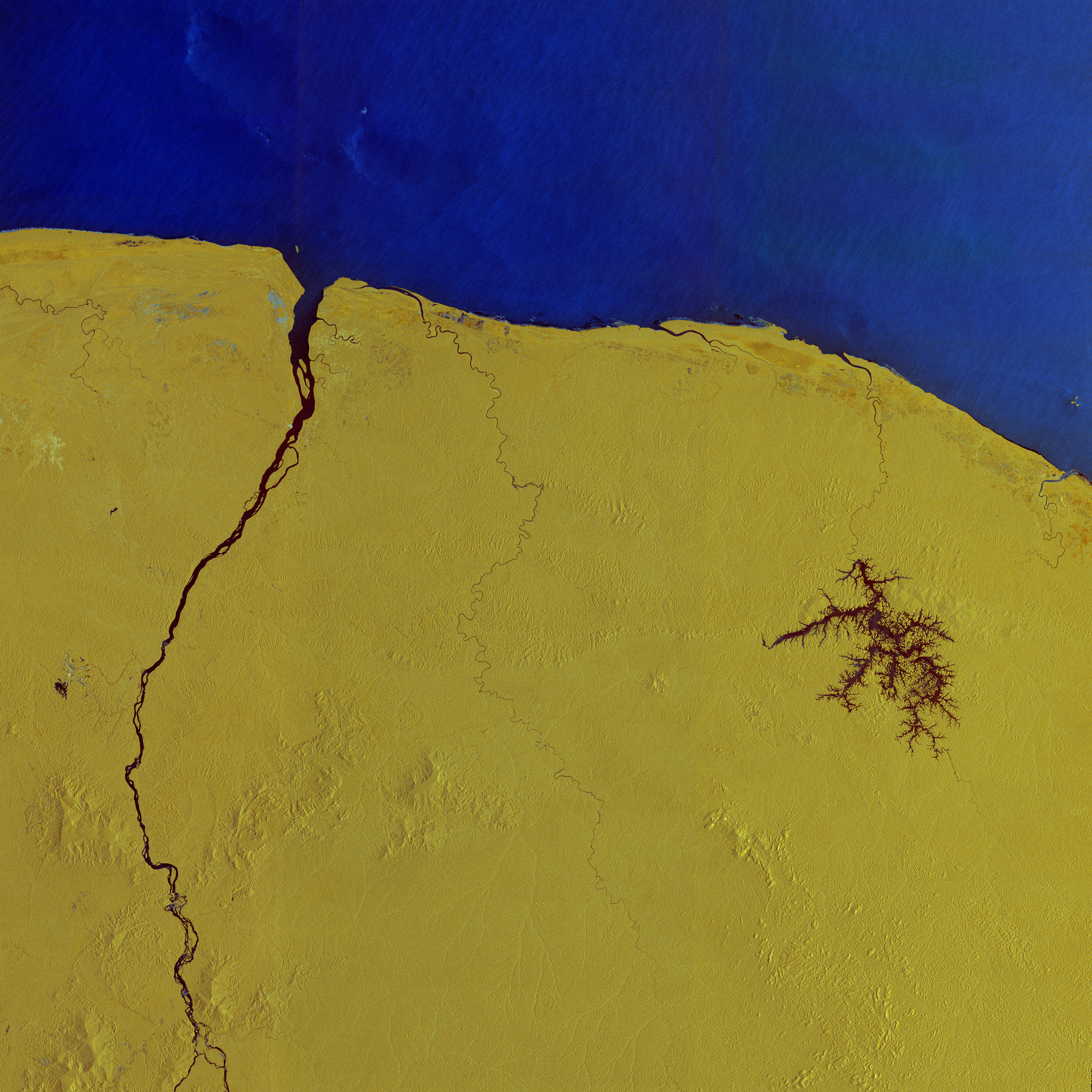 ESA - Immagine della settimana: Guyana Francese (27 aprile 2025)