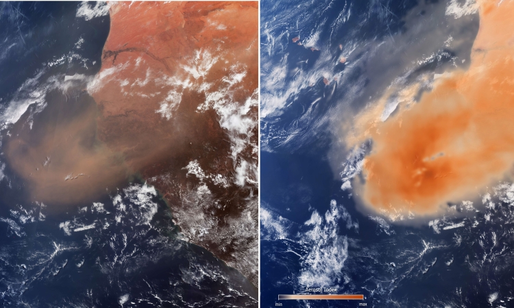 ESA - Immagine della settimana: Pennacchio di polvere sahariana (08 giugno 2025)