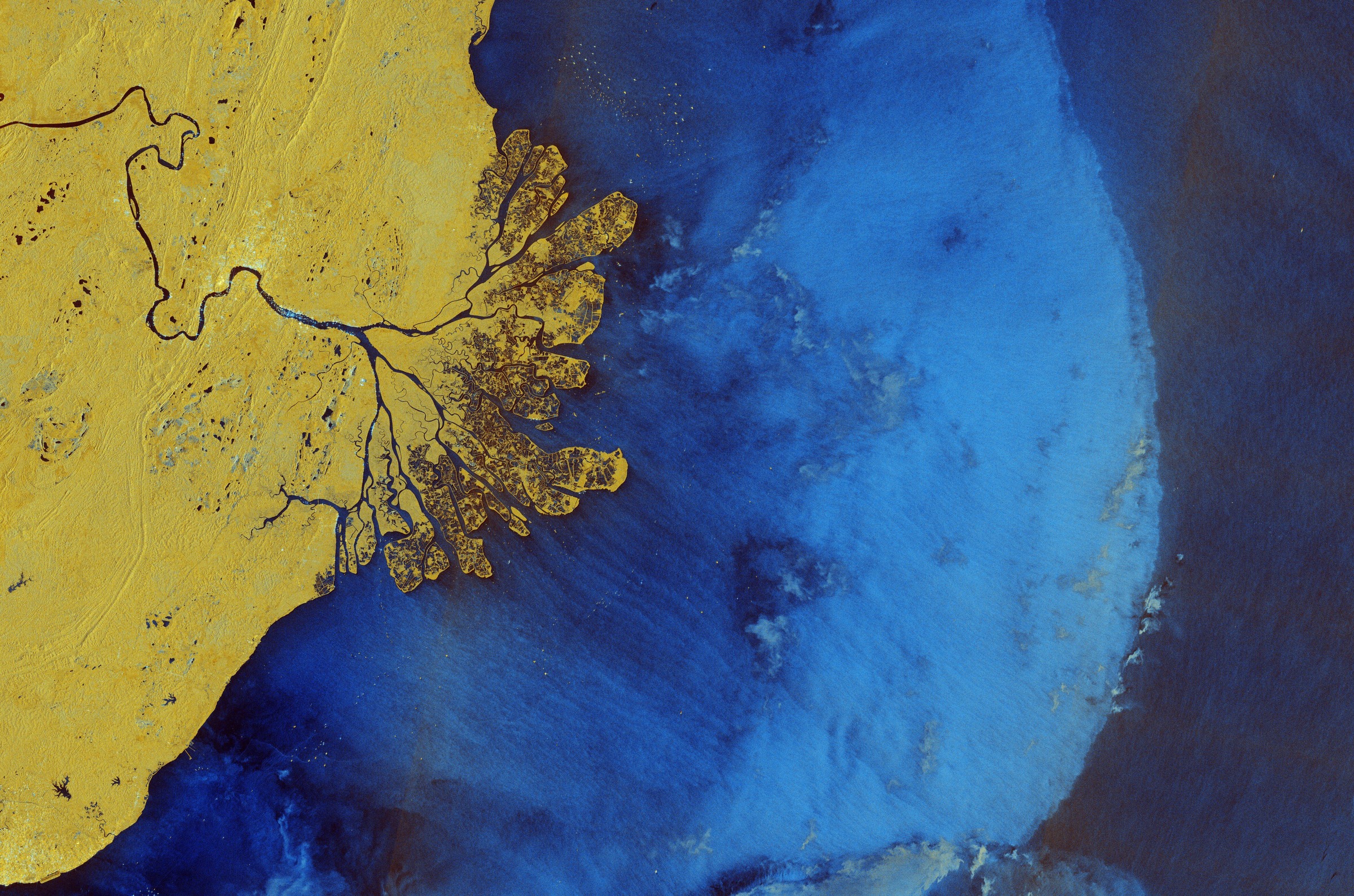 ESA - Immagine della settimana: Kalimantan orientale, Borneo (15 giugno 2025)
