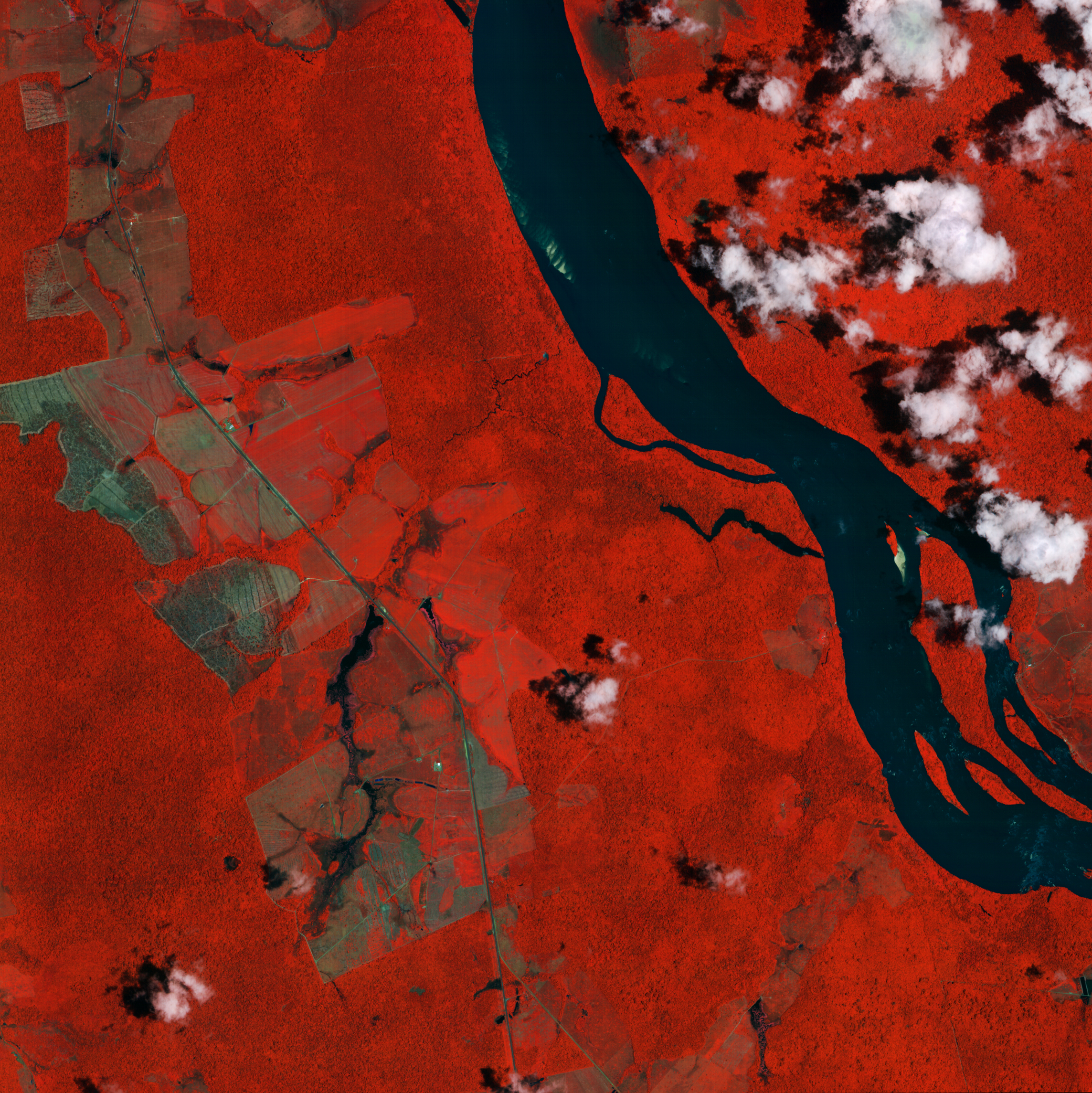 ESA - Immagine della settimana: Fiume Branco, Brasile (09 novembre 2025)