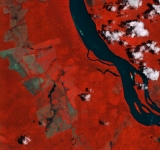 ESA - Immagine della settimana: Fiume Branco, Brasile (09 novembre 2025)